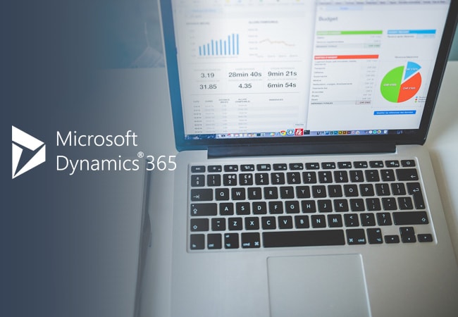 Customized Dynamics 365 to a Media Business in USA